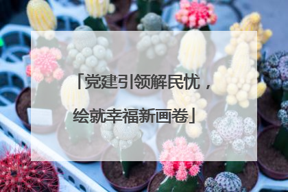 党建引领解民忧，绘就幸福新画卷